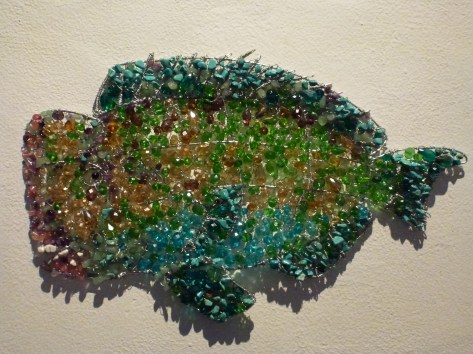 Green Humphead Parrotfish