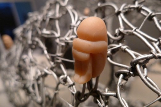 tell it to the moon detail