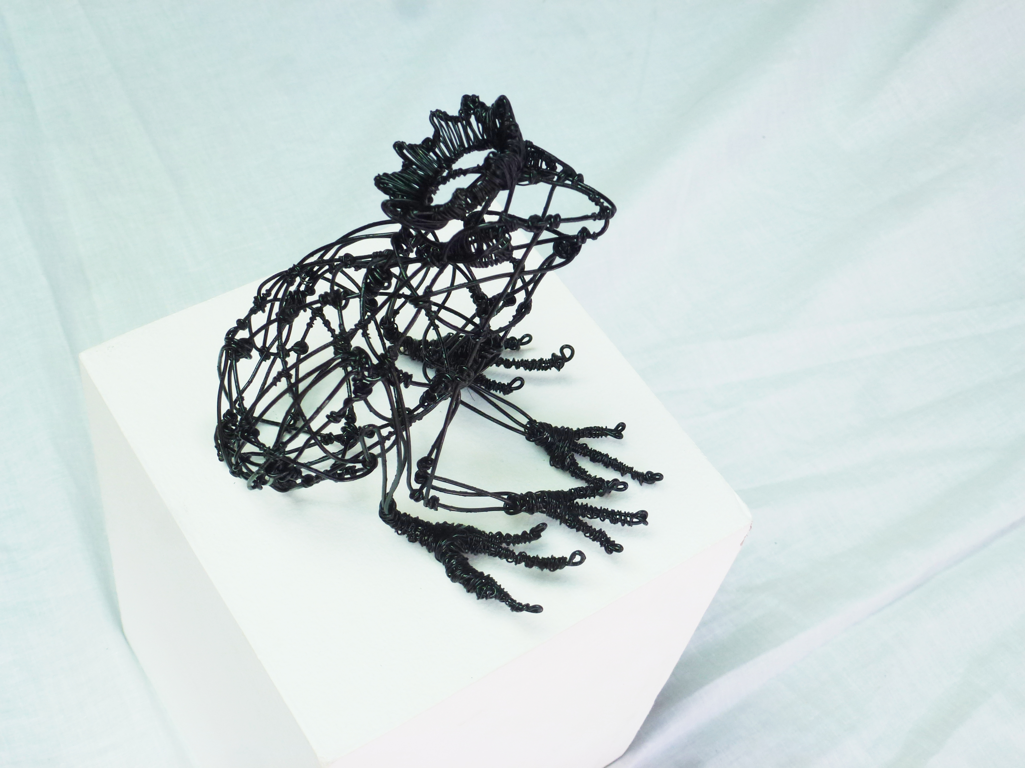 farfaraway frog detail